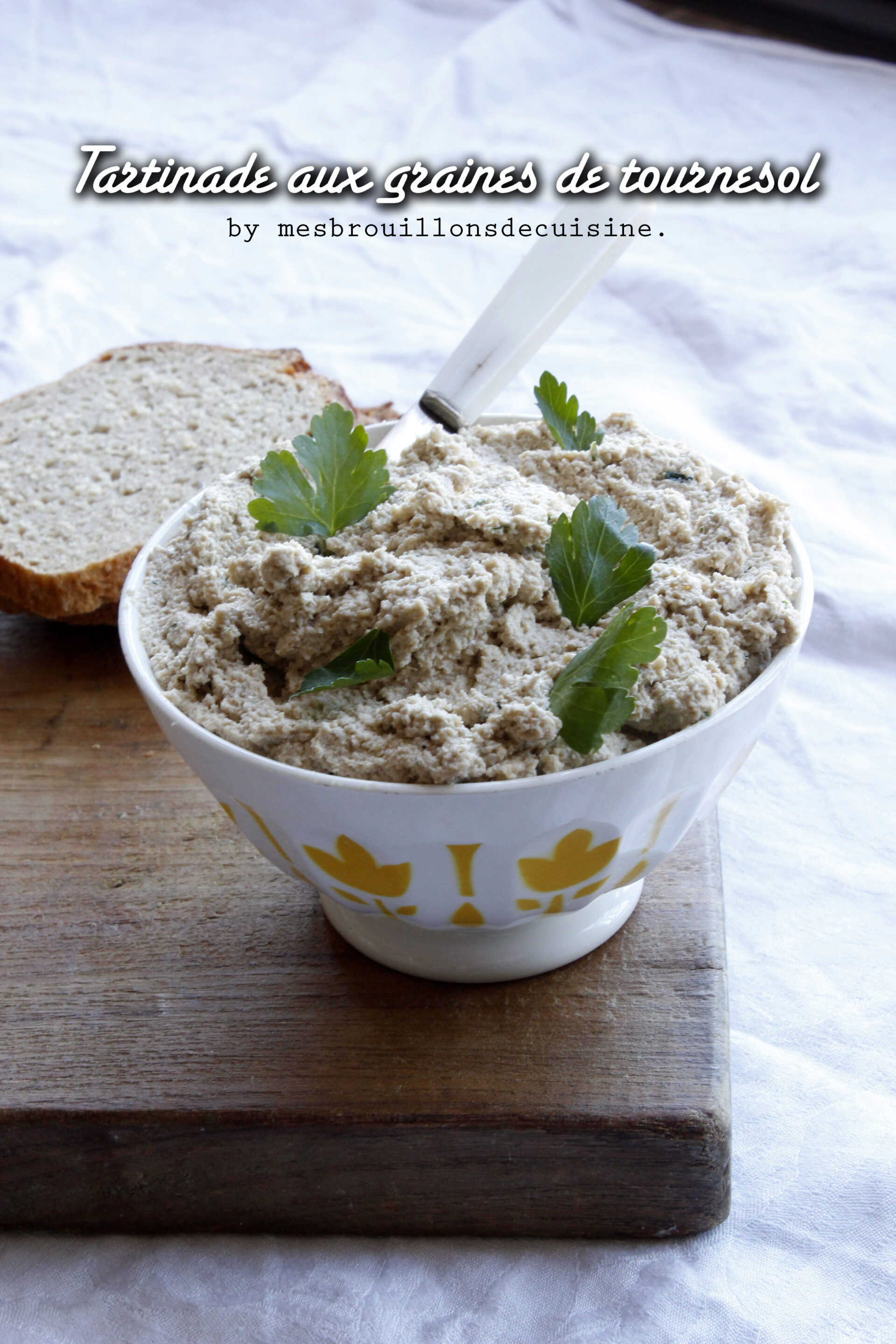"Tartinade" aux graines de tournesol 1 MG 5381 copie