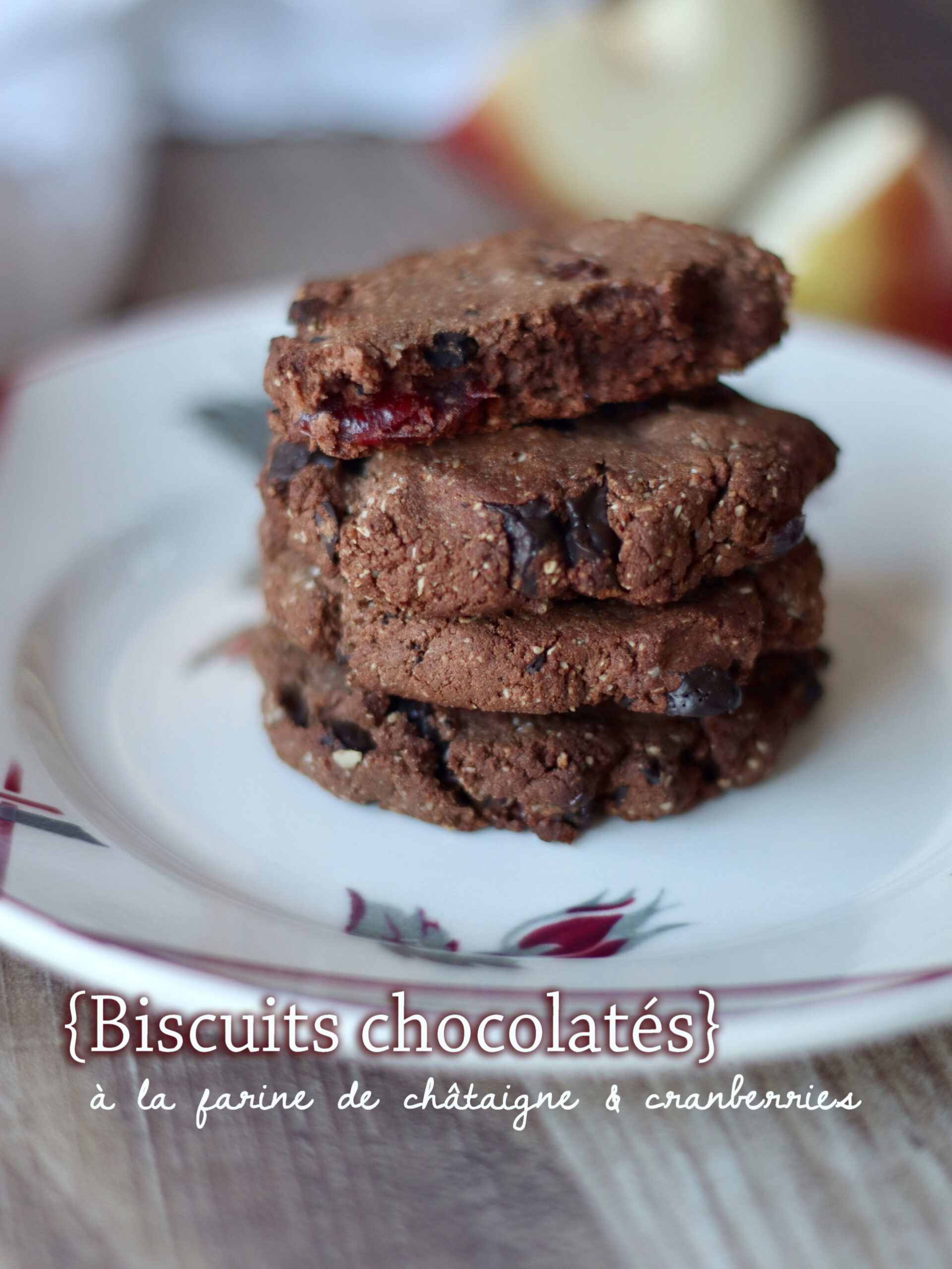 Biscuits chocolatés à la farine de châtaigne et cranberries 1 IMG 1394 copie scaled