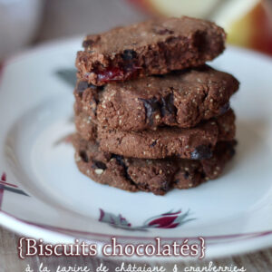 Biscuits chocolatés à la farine de châtaigne et cranberries 3 IMG 1394 copie scaled